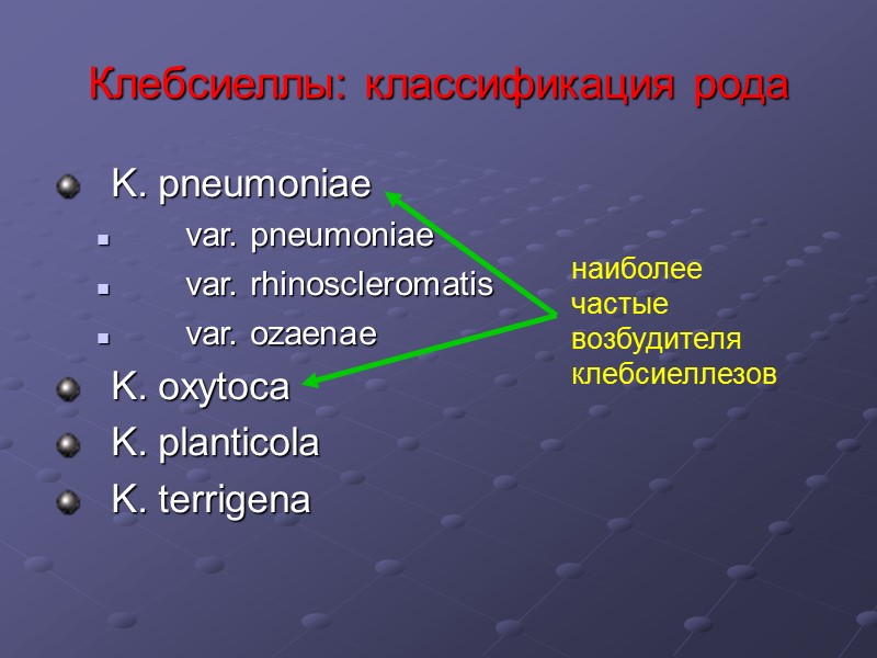 Клебсиеллы: классификация рода K. pneumoniae     var. pneumoniae   